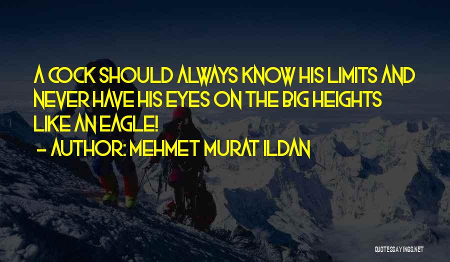 Wise Sayings And Quotes By Mehmet Murat Ildan