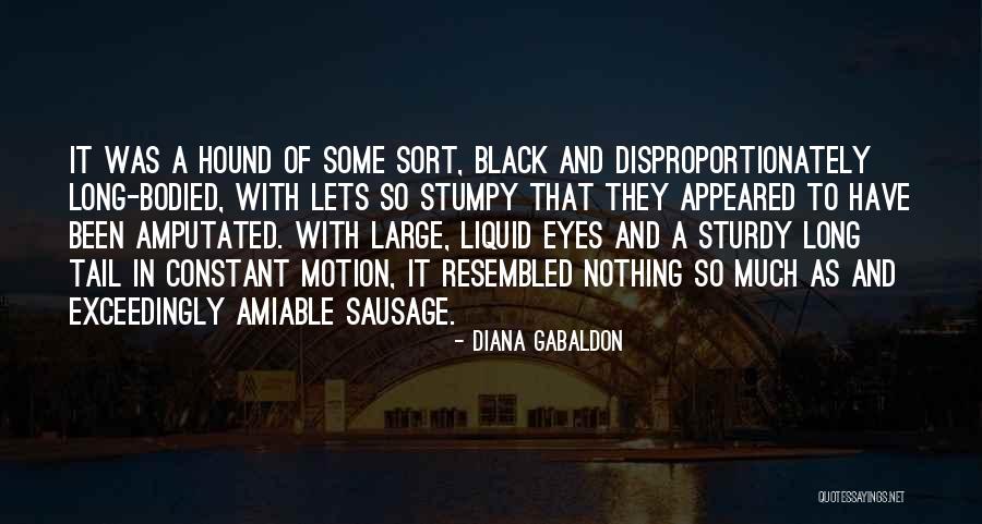 Wise Status Quotes By Diana Gabaldon Wise Status Quotes By Diana Gabaldon