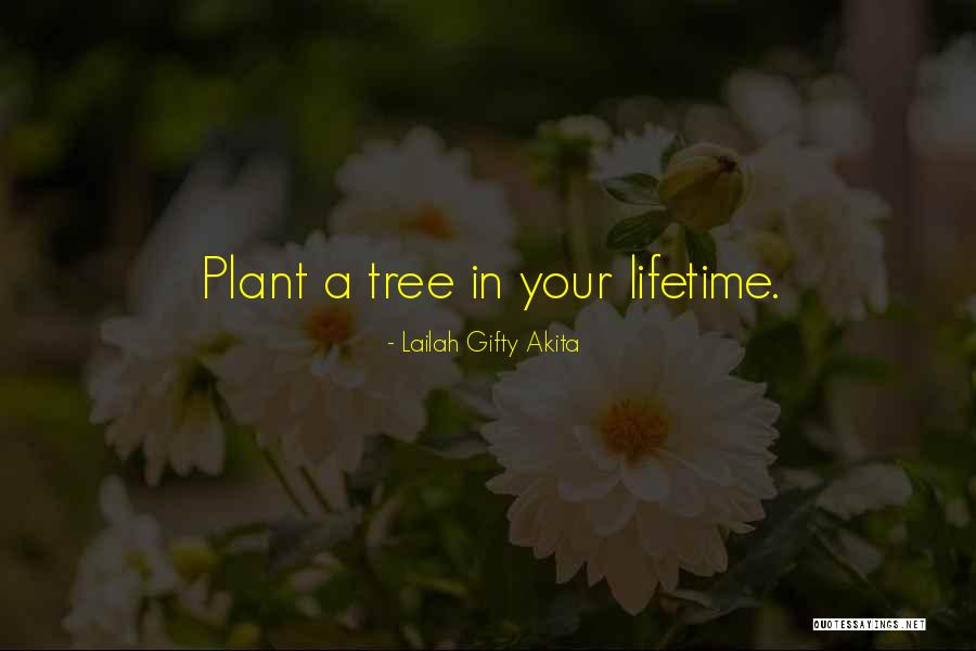 Wise Trees Quotes By Lailah Gifty Akita