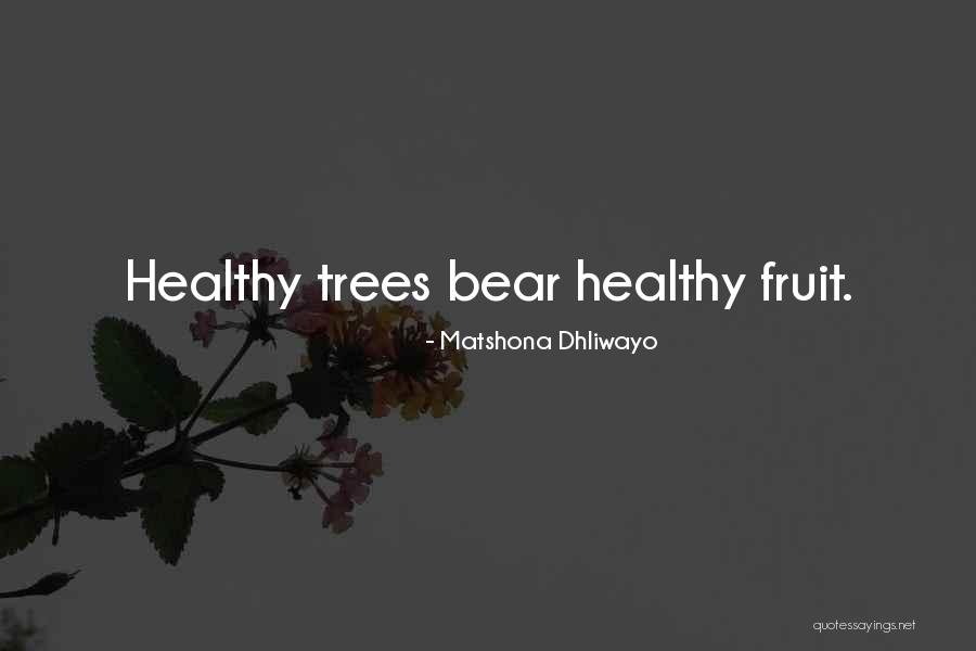 Wise Trees Quotes By Matshona Dhliwayo Wise Trees Quotes By Matshona Dhliwayo