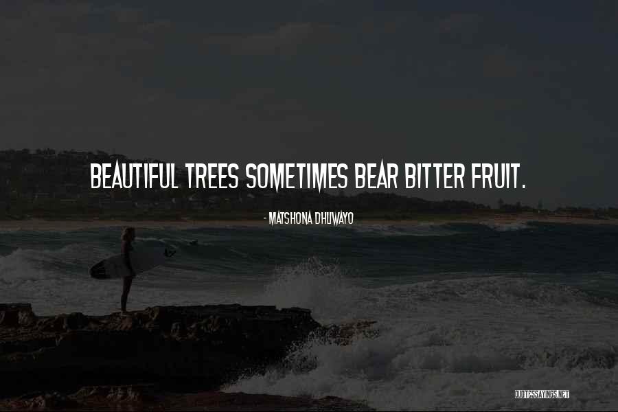 Wise Trees Quotes By Matshona Dhliwayo