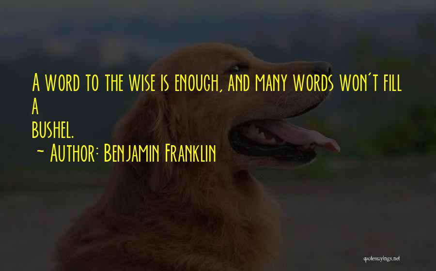 Wise Word Quotes By Benjamin Franklin