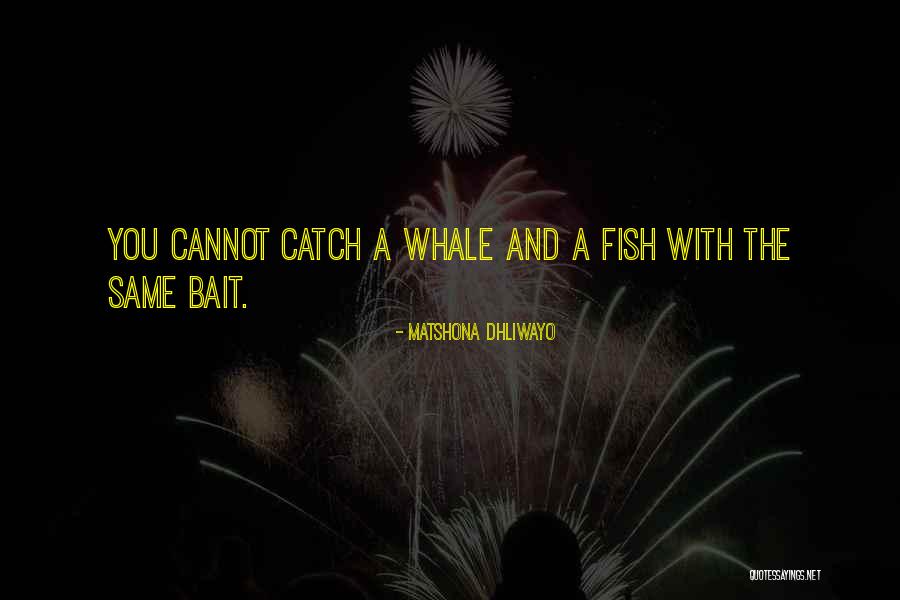 Wise Words And Wisdom Quotes By Matshona Dhliwayo Wise Words And Wisdom Quotes By Matshona Dhliwayo