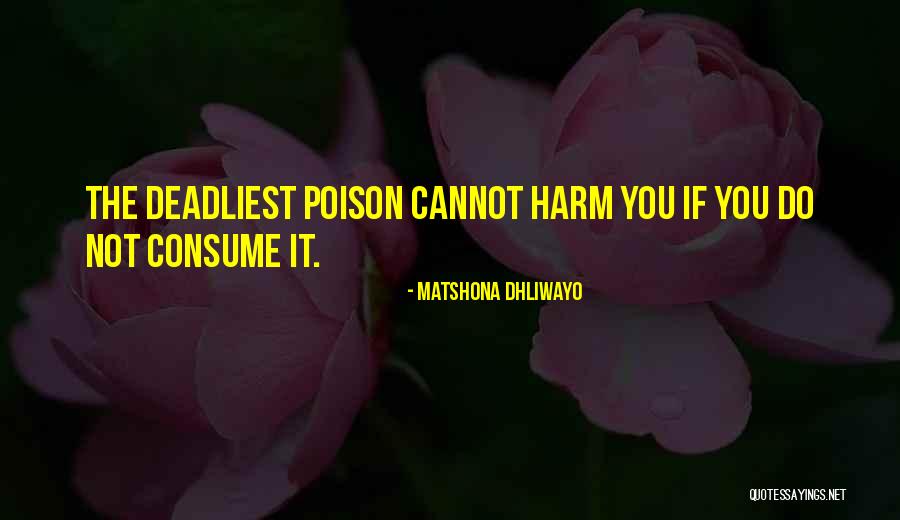 Wise Words Quotes Quotes By Matshona Dhliwayo Wise Words Quotes Quotes By Matshona Dhliwayo