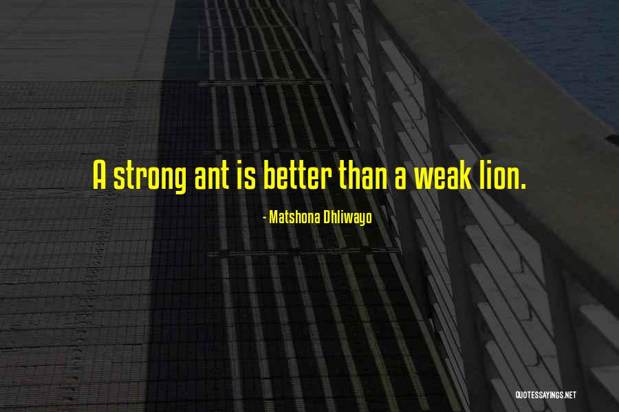 Wise Words Quotes Quotes By Matshona Dhliwayo Wise Words Quotes Quotes By Matshona Dhliwayo