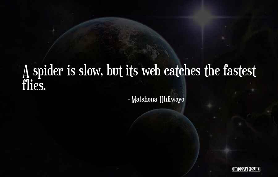 Wise Words Quotes Quotes By Matshona Dhliwayo