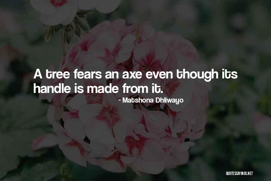 Wise Words Quotes Quotes By Matshona Dhliwayo