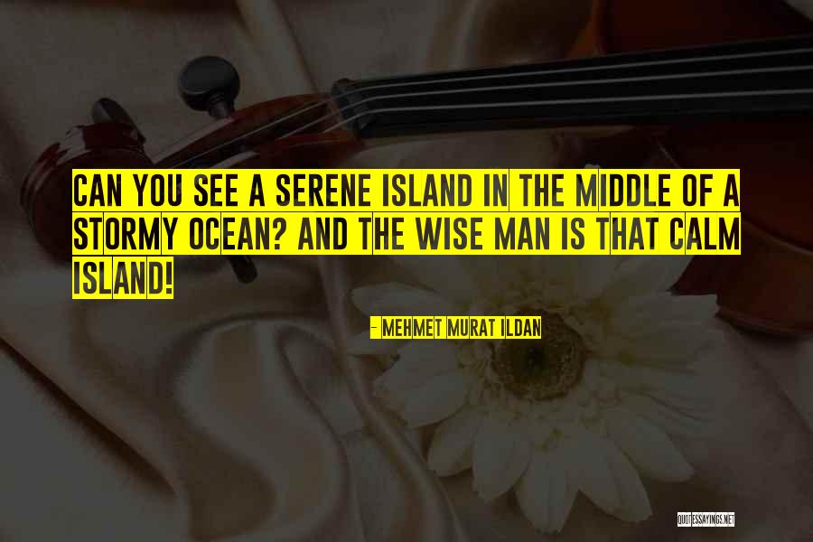 Wise Words Quotes Quotes By Mehmet Murat Ildan Wise Words Quotes Quotes By Mehmet Murat Ildan