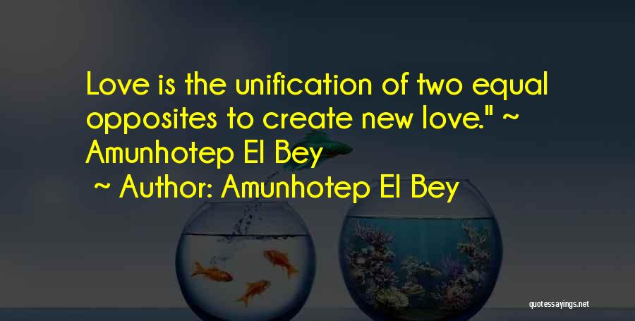 Wise Words Sayings And Quotes By Amunhotep El Bey