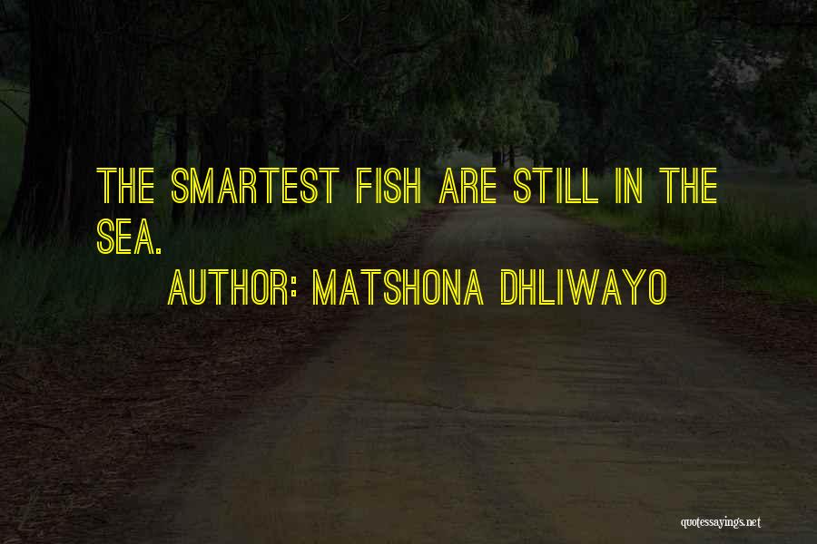 Wise Words Sayings And Quotes By Matshona Dhliwayo