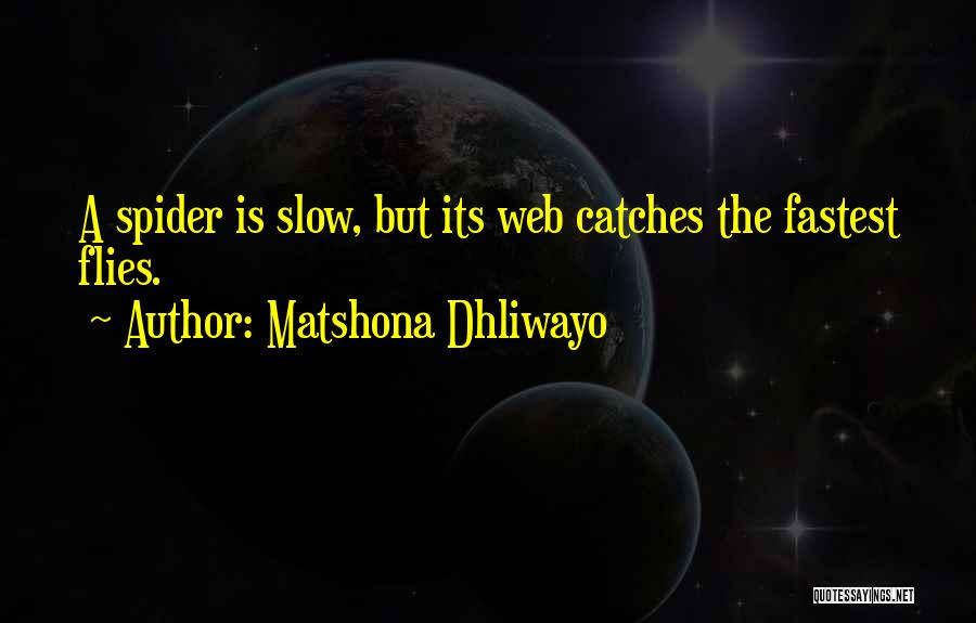 Wise Words Sayings And Quotes By Matshona Dhliwayo