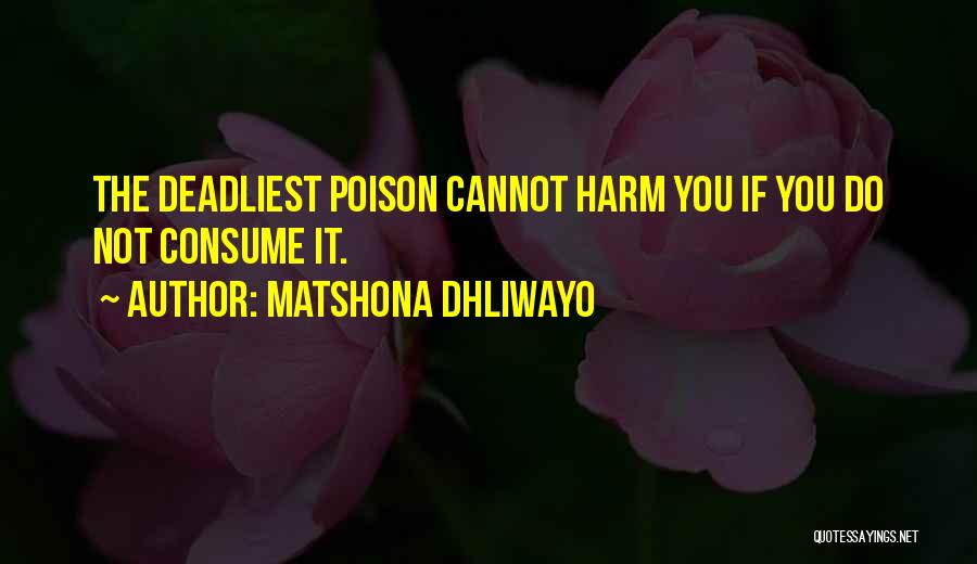 Wise Words Wisdom Quotes By Matshona Dhliwayo