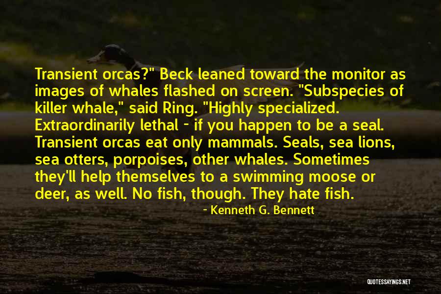 Wiseass Animated Quotes By Kenneth G. Bennett Wiseass Animated Quotes By Kenneth G. Bennett