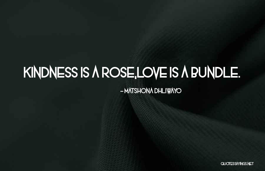 Wiseass Plural Quotes By Matshona Dhliwayo Wiseass Plural Quotes By Matshona Dhliwayo