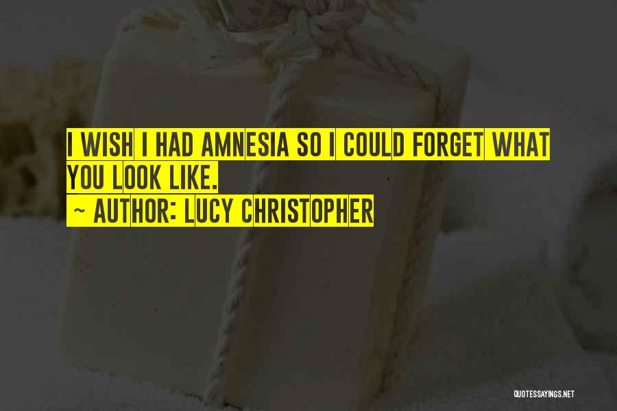 Wish Could Forget You Quotes By Lucy Christopher