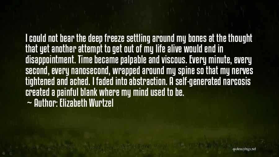 Wish Could Freeze Time Quotes By Elizabeth Wurtzel