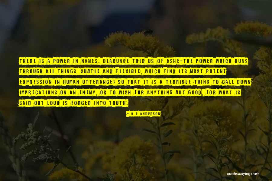 Wish Good Things Quotes By M T Anderson Wish Good Things Quotes By M T Anderson