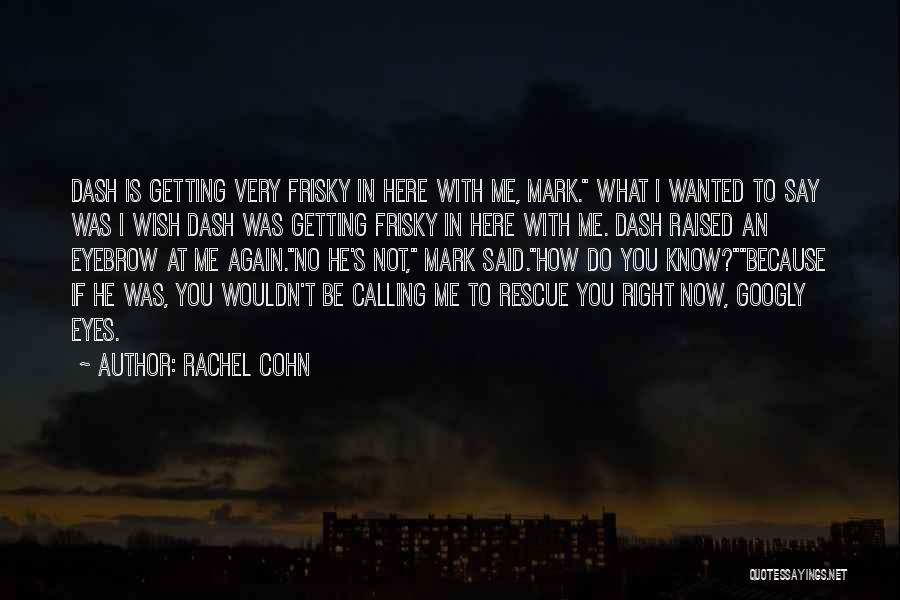 Wish He Was Here Quotes By Rachel Cohn