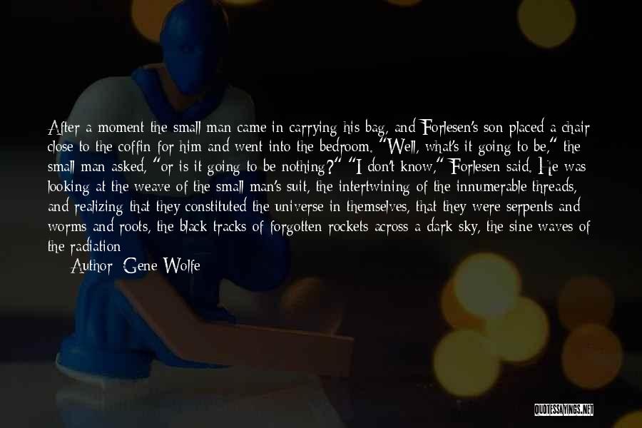 Wish Him Well Quotes By Gene Wolfe