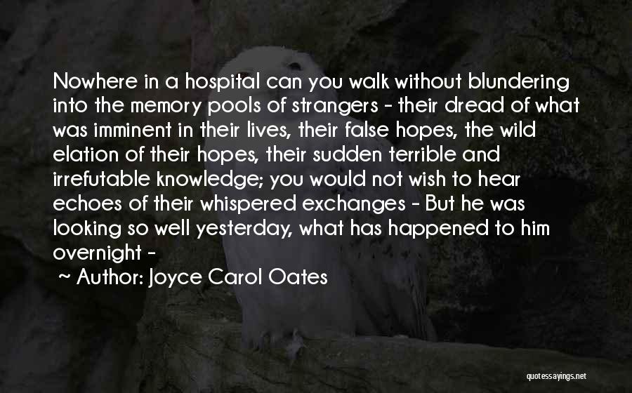 Wish Him Well Quotes By Joyce Carol Oates