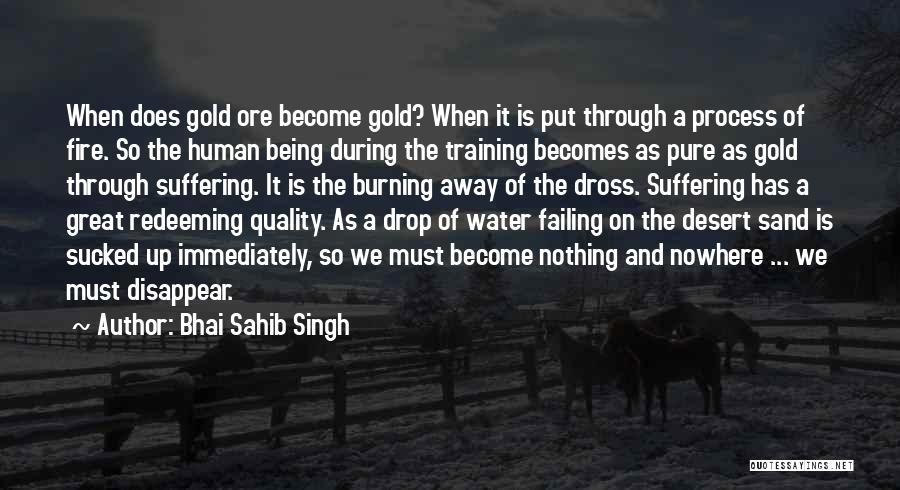 Wish I Could Disappear Quotes By Bhai Sahib Singh