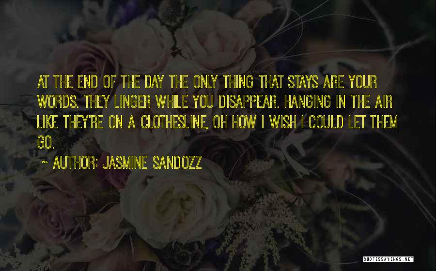 Wish I Could Disappear Quotes By Jasmine Sandozz