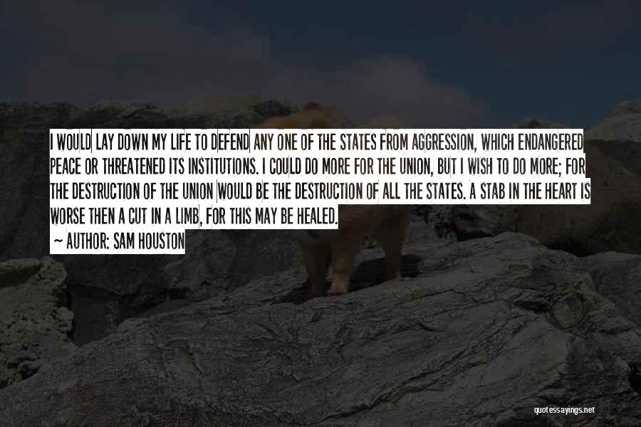 Wish I Could Do More Quotes By Sam Houston