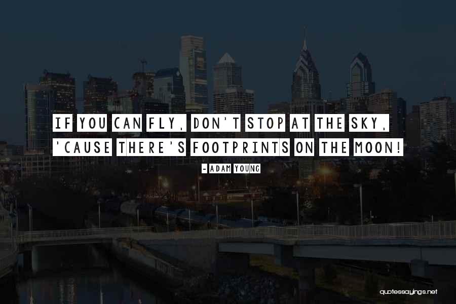 Wish I Could Fly Quotes By Adam Young Wish I Could Fly Quotes By Adam Young