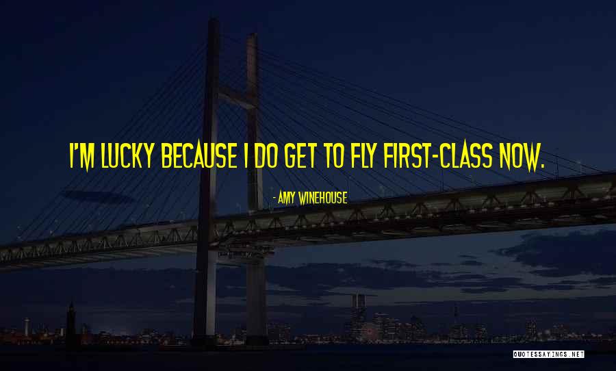 Wish I Could Fly Quotes By Amy Winehouse Wish I Could Fly Quotes By Amy Winehouse