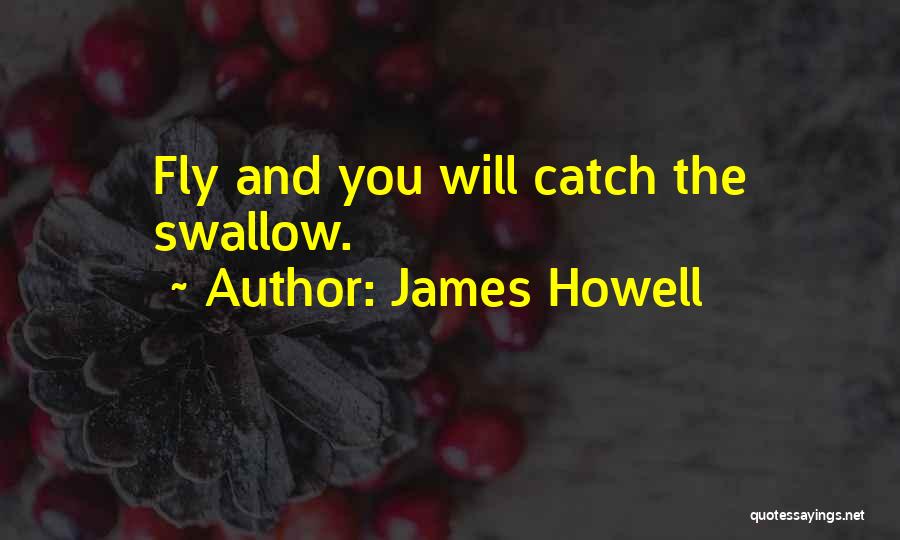 Wish I Could Fly Quotes By James Howell