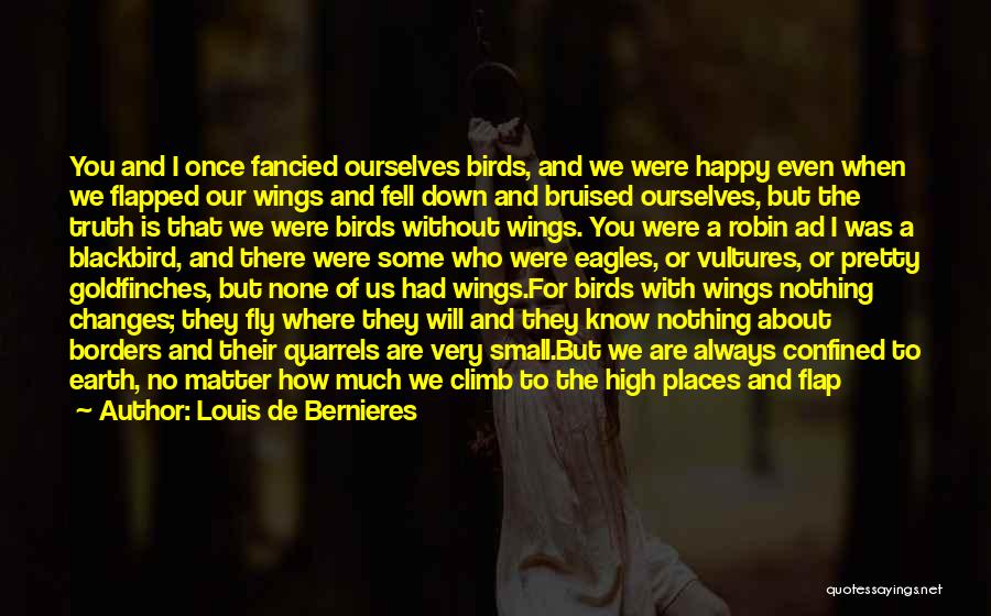 Wish I Could Fly Quotes By Louis De Bernieres