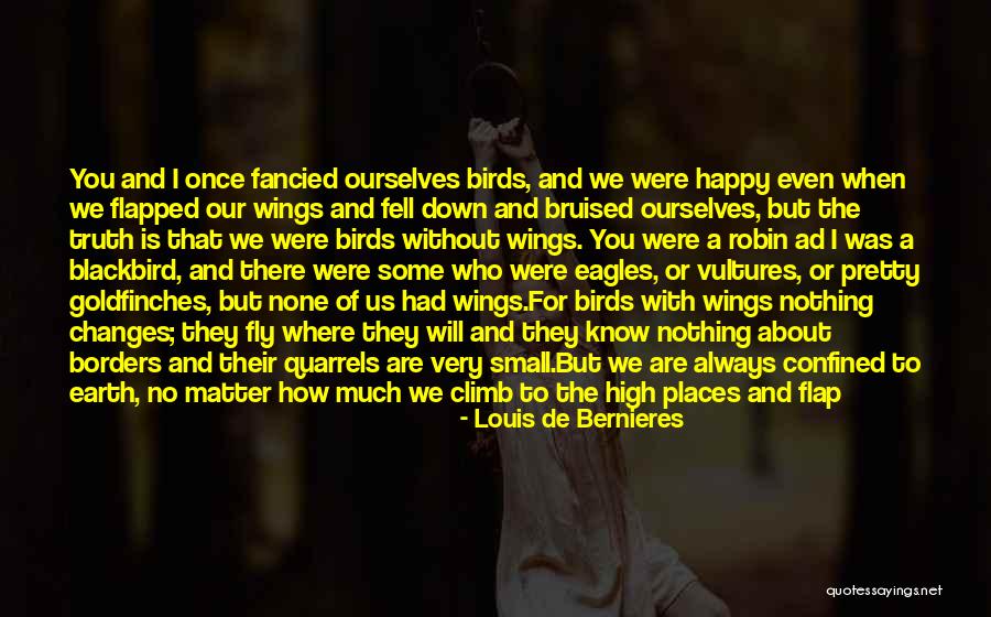 Wish I Could Fly Quotes By Louis De Bernieres