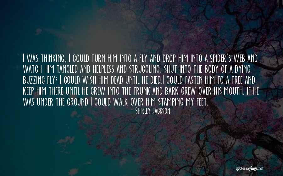 Wish I Could Fly Quotes By Shirley Jackson Wish I Could Fly Quotes By Shirley Jackson