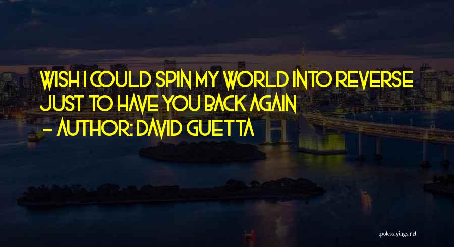 Wish I Could Have You Quotes By David Guetta