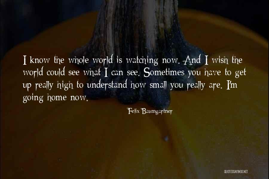 Wish I Could See You Quotes By Felix Baumgartner Wish I Could See You Quotes By Felix Baumgartner