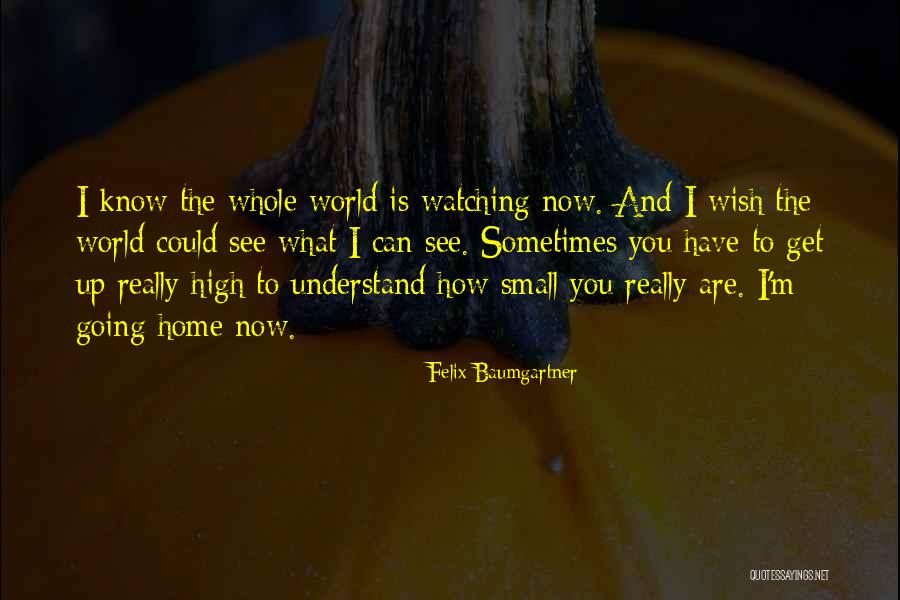 Wish I Could Understand Quotes By Felix Baumgartner Wish I Could Understand Quotes By Felix Baumgartner