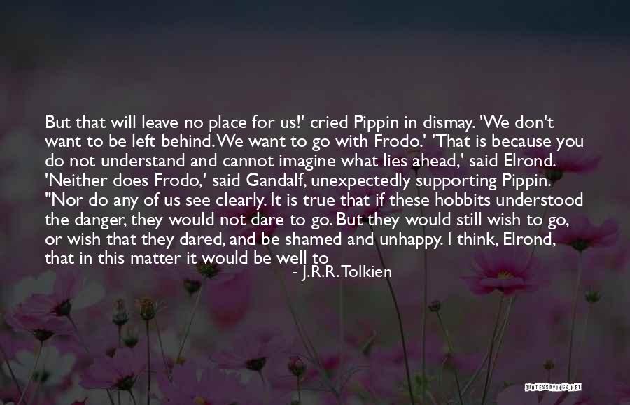Wish I Could Understand Quotes By J.R.R. Tolkien Wish I Could Understand Quotes By J.R.R. Tolkien
