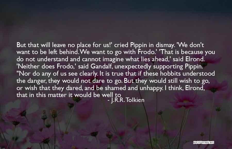 Wish I Could Understand Quotes By J.R.R. Tolkien