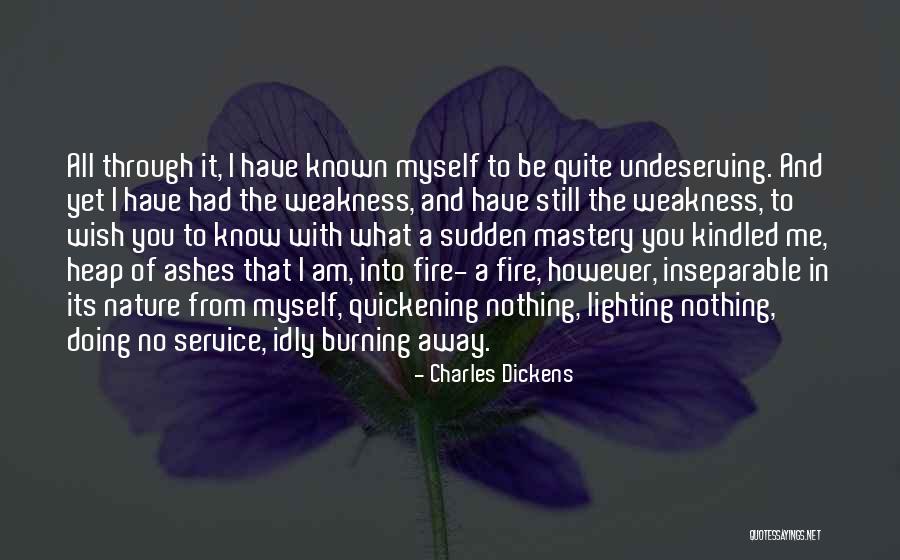 Wish I Had Known Quotes By Charles Dickens