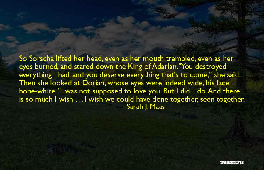 Wish I Had Love Quotes By Sarah J. Maas Wish I Had Love Quotes By Sarah J. Maas
