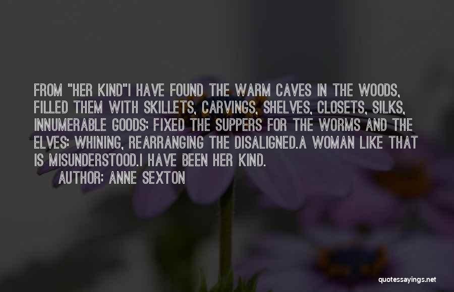Wish I Had Someone Like You Quotes By Anne Sexton Wish I Had Someone Like You Quotes By Anne Sexton