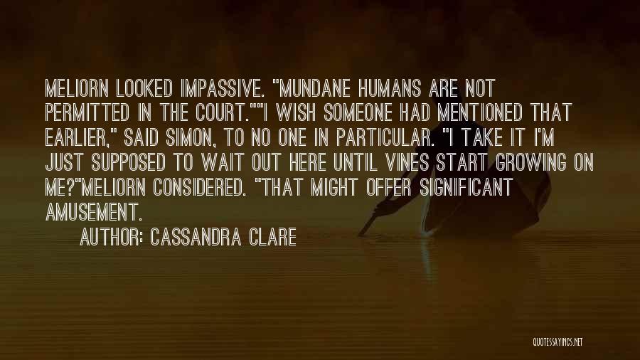 Wish I Had Someone Quotes By Cassandra Clare
