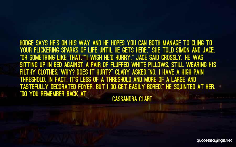 Wish I Told You Quotes By Cassandra Clare