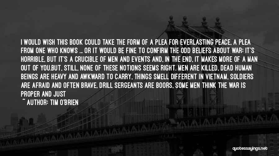 Wish It Could Be Different Quotes By Tim O'Brien