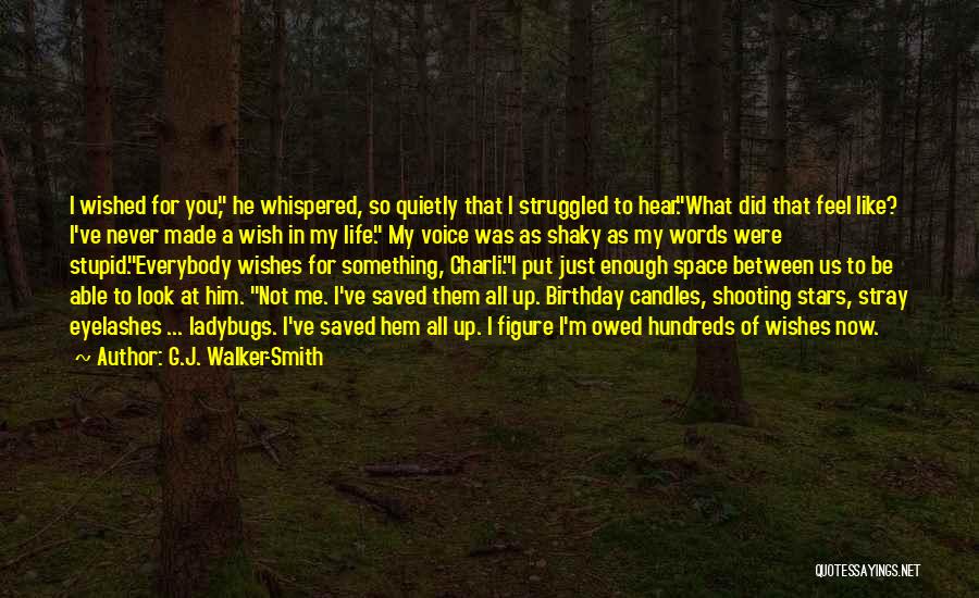 Wish Me Birthday Quotes By G.J. Walker-Smith