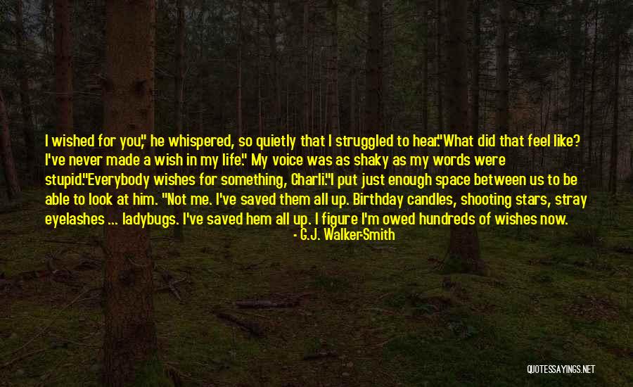 Wish Me Birthday Quotes By G.J. Walker-Smith Wish Me Birthday Quotes By G.J. Walker-Smith