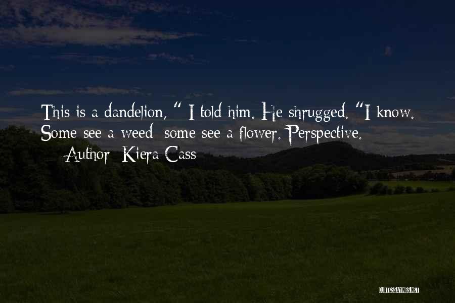 Wish On Dandelion Quotes By Kiera Cass