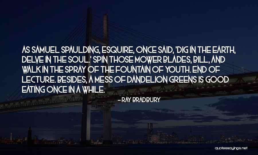 Wish On Dandelion Quotes By Ray Bradbury