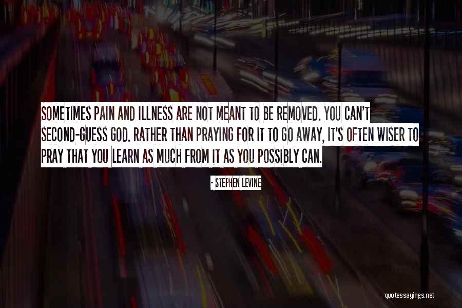 Wish The Pain Would Go Away Quotes By Stephen Levine