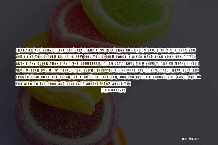 Wish To Go Back In Time Quotes By Jim Butcher Wish To Go Back In Time Quotes By Jim Butcher